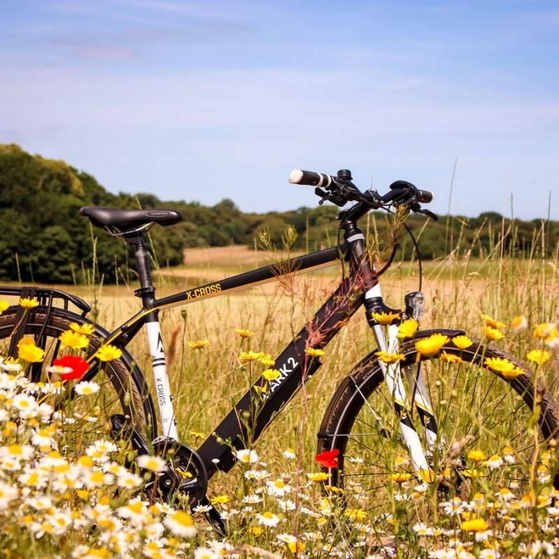 Mark2 X-Cross 520 Hybrid Electric Bike in Field