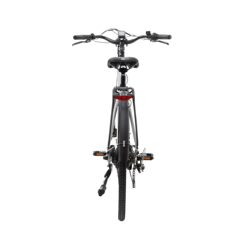 Peddle Life Peddle Step cruising Electric Bike