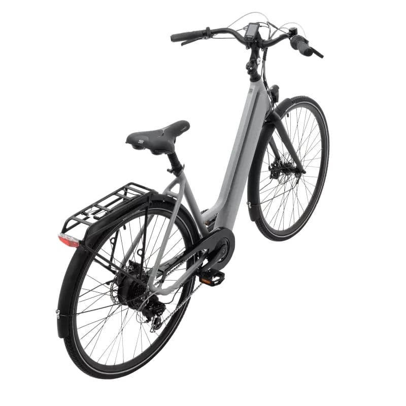 Peddle Life Peddle Step cruising Electric Bike